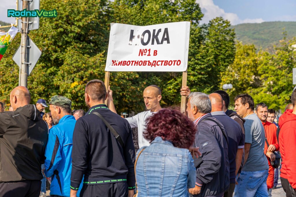 Протести на зърнопроизводители Снимка: rodnavest.com