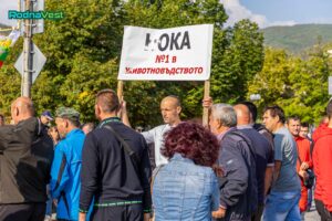 Протести на зърнопроизводители Снимка: rodnavest.com