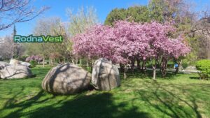 Сандански парк