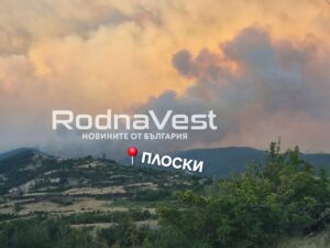 Пожар село Плоски, общ. Сандански Снимка: rodnavest.com